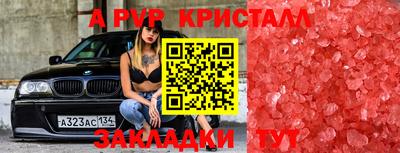 шишки Жуковский
