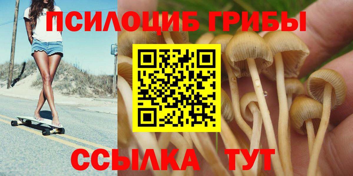 Муравленко  Псилоцибиновые грибы GOLDEN TEACHER  Вход с VPN 