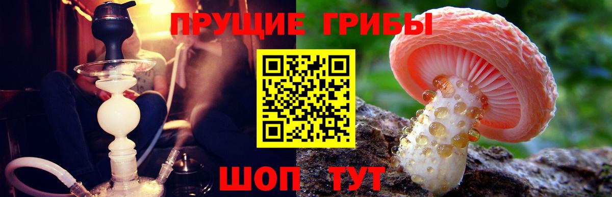 Галлюциногенные грибы Magic Shrooms Муравленко